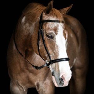 The Bitless Bridle by Dr Robert Cook; English Bridle w Laced Reins Havana Brown